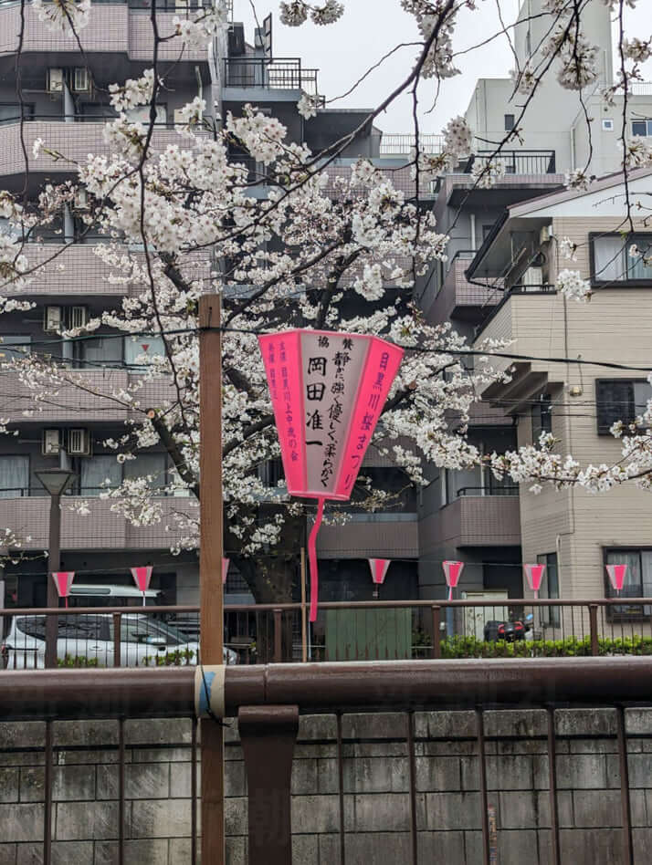 「静かに、強く優しく、柔らかく　岡田准一」