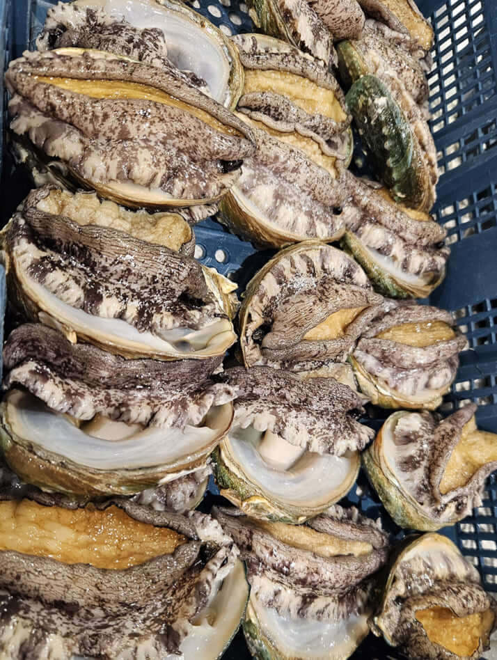 アワビ