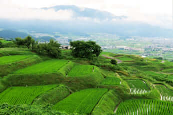 長野県の姨捨（おばすて）棚田