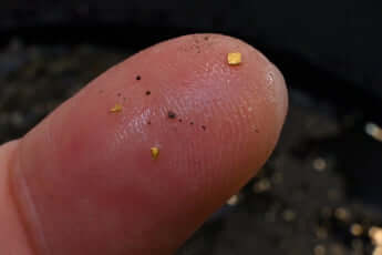 24年17号グラビア 博物館_10