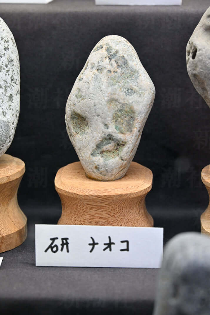 24年17号グラビア 博物館_4