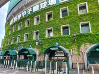 甲子園球場イメージ