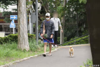 24年20号グラビア 市川猿之助_16