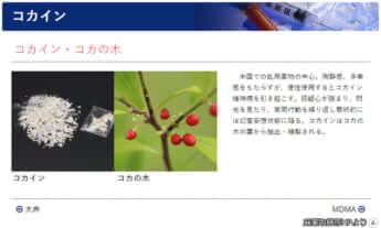 麻薬取締部HPより