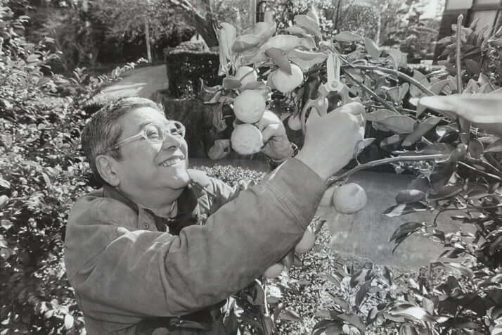 中尾彬