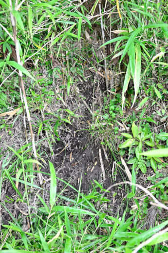 24年22号グラビア キョン_10