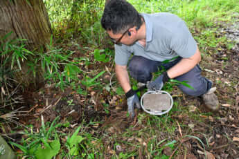 24年22号グラビア キョン_14