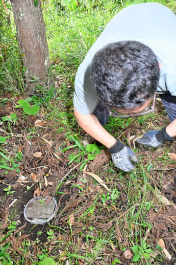 24年22号グラビア キョン_15