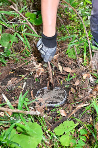 24年22号グラビア キョン_17