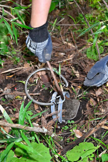 24年22号グラビア キョン_18