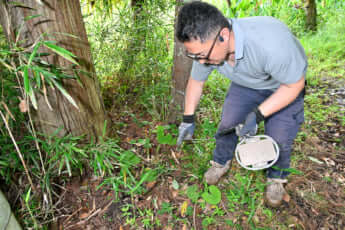 24年22号グラビア キョン_3
