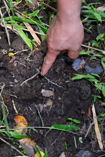 24年22号グラビア キョン_8