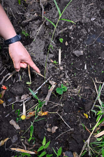 24年22号グラビア キョン_9