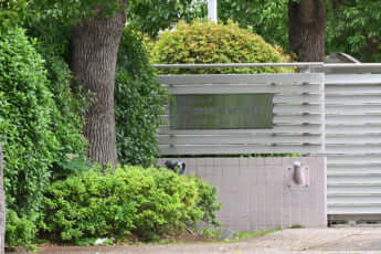 早稲田実業初頭部