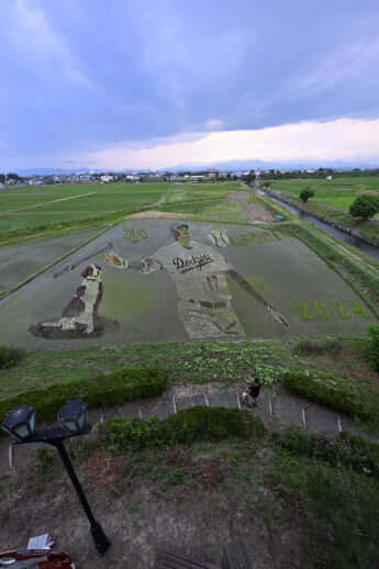 24号グラビア 大谷翔平_3