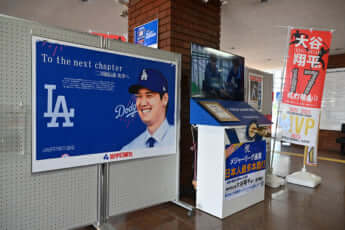 24号グラビア 大谷翔平_7
