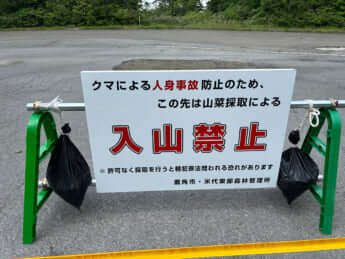 秋田県鹿角市の山林