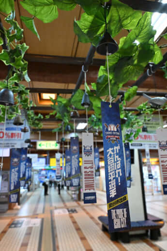 24号グラビア 大谷翔平_9