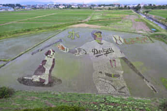 24号グラビア 大谷翔平_15