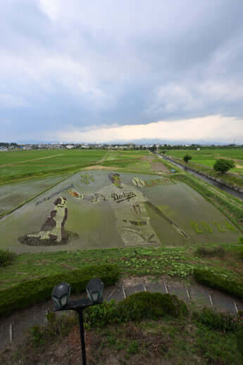 24号グラビア 大谷翔平_16