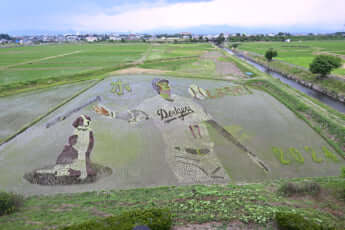 24号グラビア 大谷翔平_36