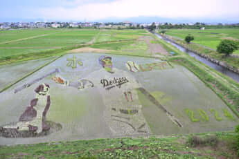 24号グラビア 大谷翔平_37