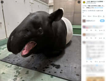 横浜市立よこはま動物園