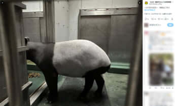 横浜市立よこはま動物園