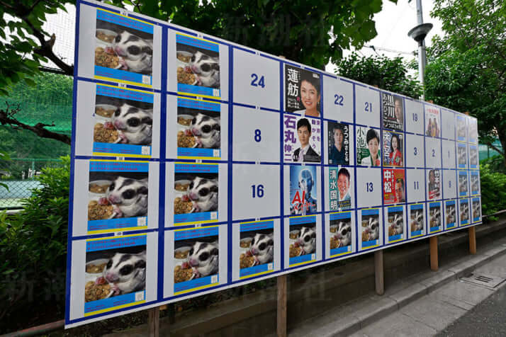 カオスすぎる都知事選ポスター_16