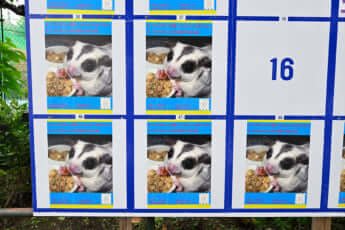 カオスすぎる都知事選ポスター_17