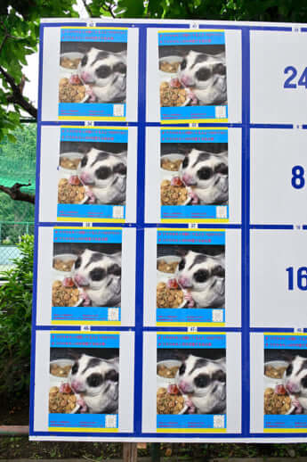 カオスすぎる都知事選ポスター_20