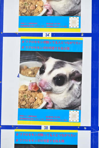 カオスすぎる都知事選ポスター_21