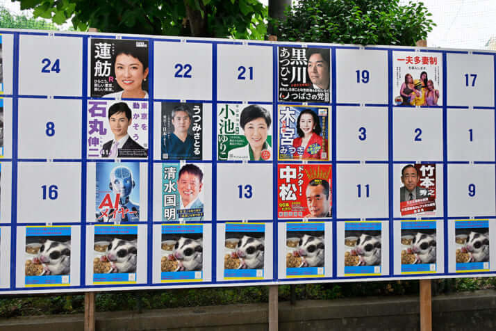 カオスすぎる都知事選ポスター_22