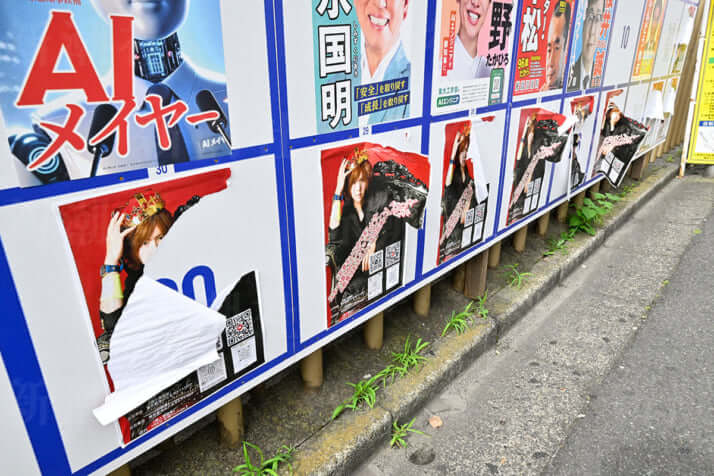 カオスすぎる都知事選ポスター_34
