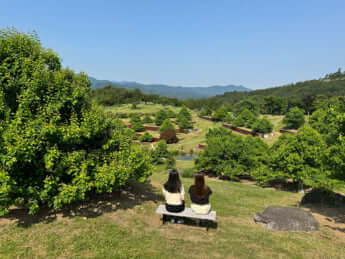 K-ウエルネスの最新スポット