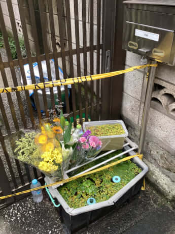 後藤祐介