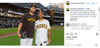 ザンダー・シャウフェレ