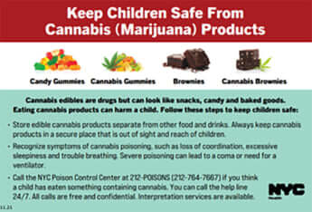 啓発資料（大麻）