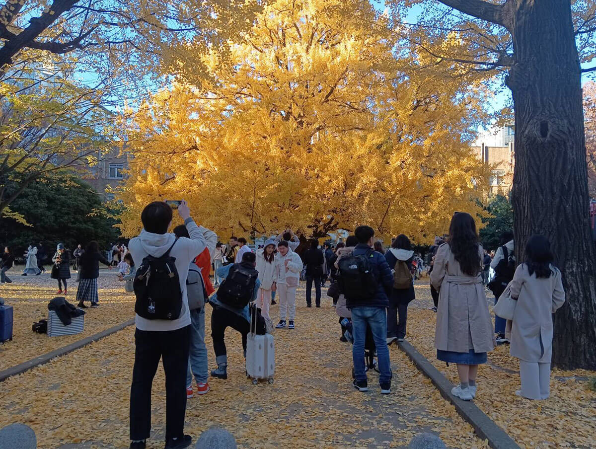 「東大」が「中国人留学生」だらけになっていた 大学院生の「5人に1人が中国人」…周辺には「ガチ中華」もズラリ | デイリー新潮