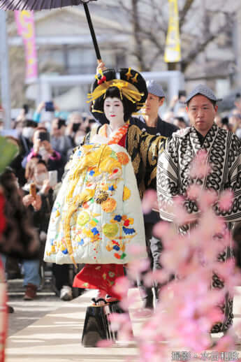 25年11号グラビア 花魁道中_14