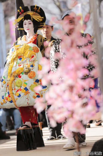 25年11号グラビア 花魁道中_15