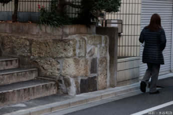 25年11号グラビア 花魁道中_19