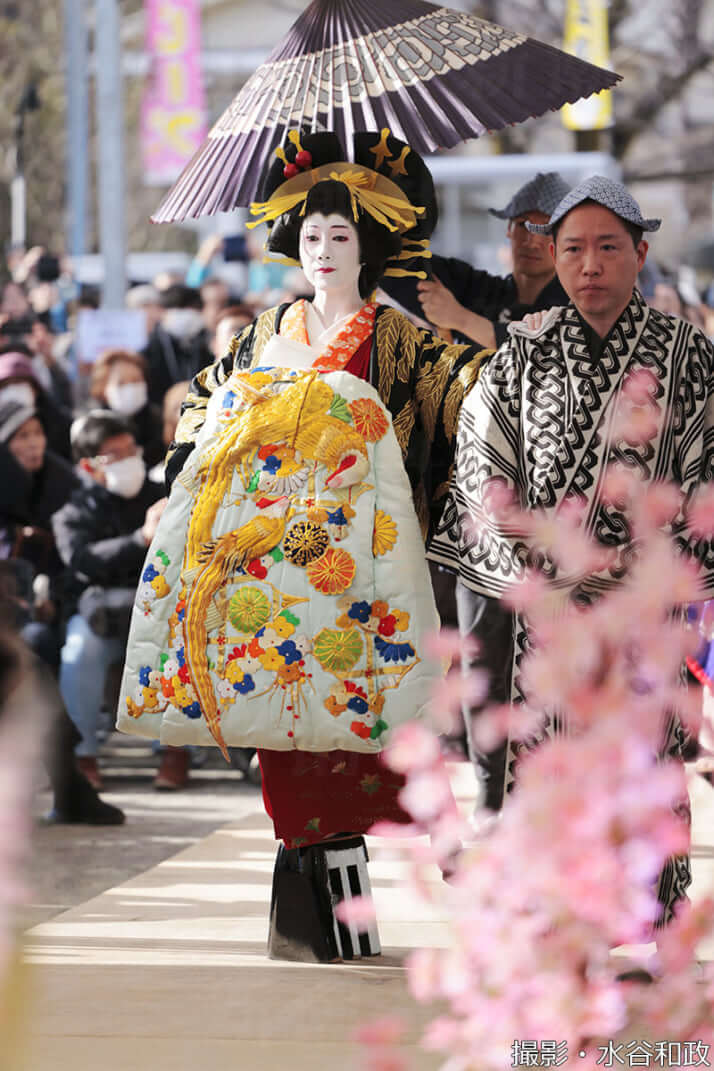 25年11号グラビア 花魁道中_2