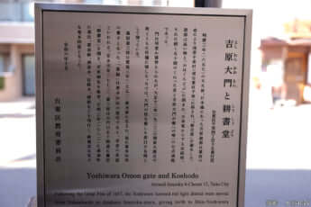 25年11号グラビア 花魁道中_24