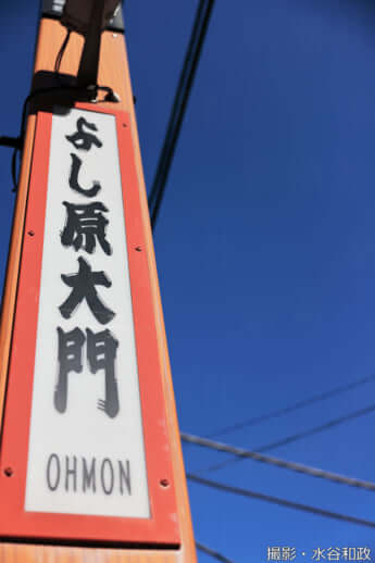 25年11号グラビア 花魁道中_25