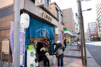 25年11号グラビア 花魁道中_28