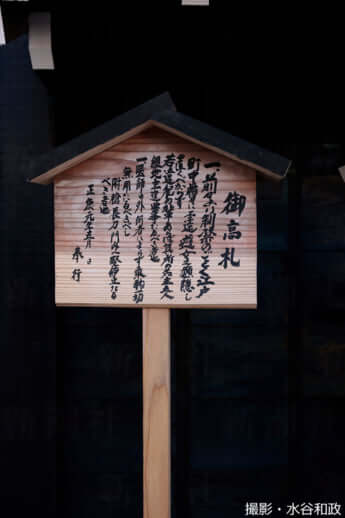 25年11号グラビア 花魁道中_29