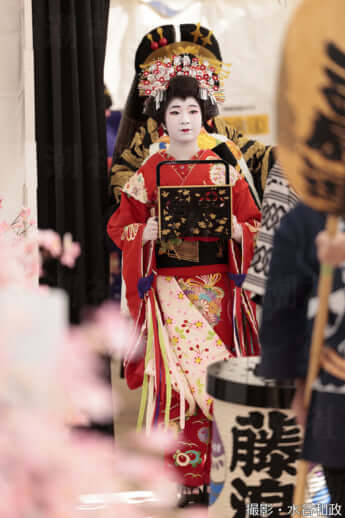 25年11号グラビア 花魁道中_3