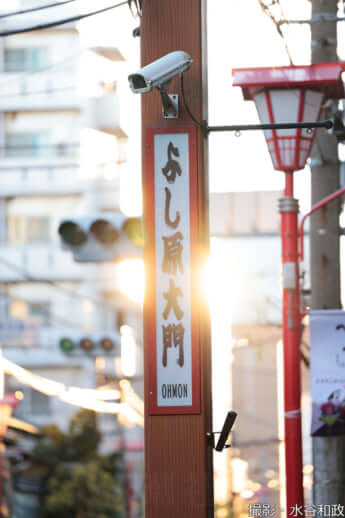 25年11号グラビア 花魁道中_30