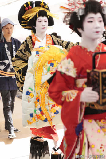 25年11号グラビア 花魁道中_4